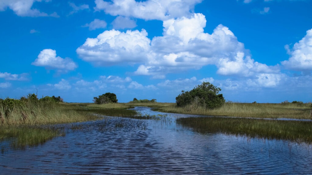 Tour en airboat dans les Everglades