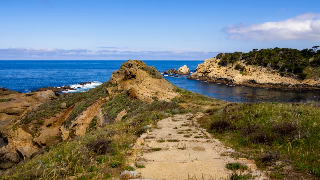 La Réserve d'État de Point Lobos offre un panorama à couper le souffle !