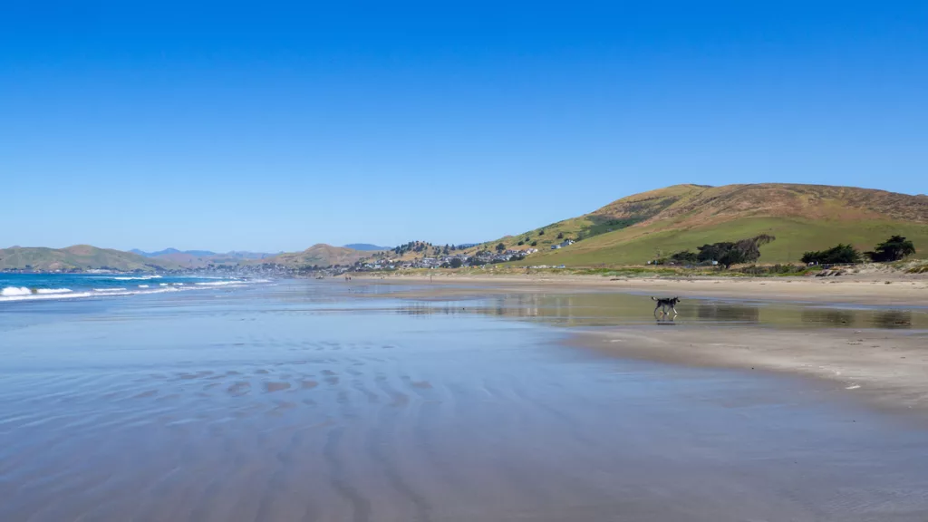 Une belle plage au petit matin !