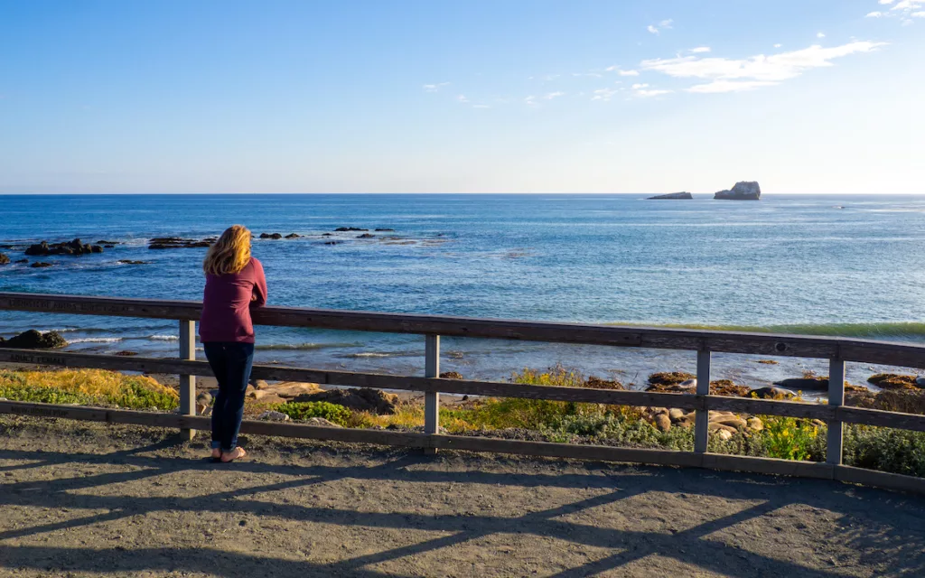 Sarah contemplates the horizon.