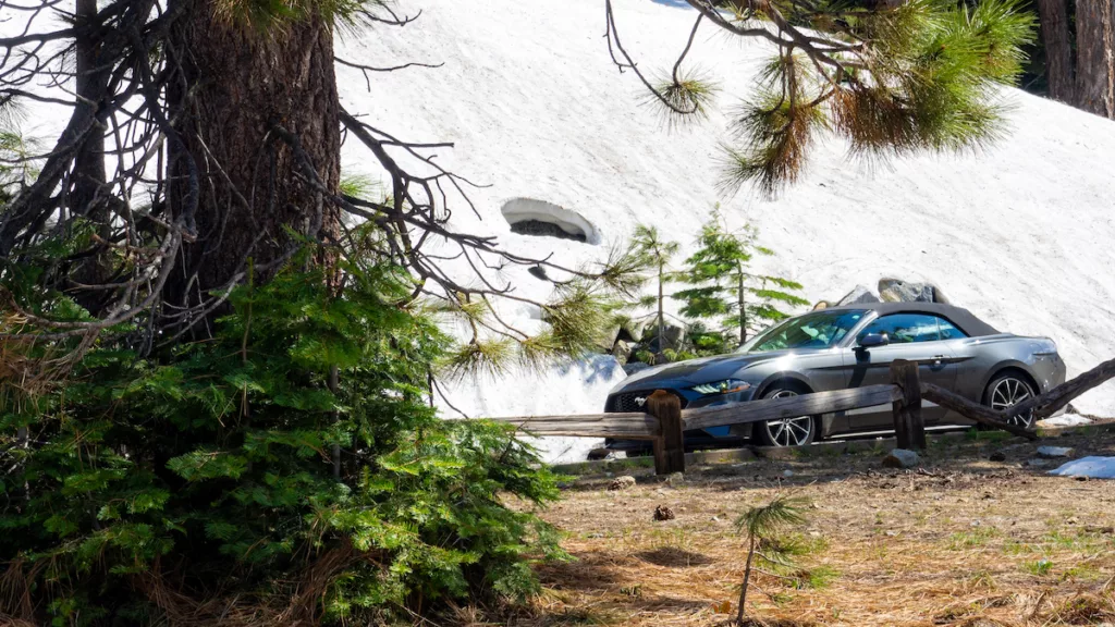 Une Ford Mustang croisée sur les hauteurs du parc national de Yosemite.