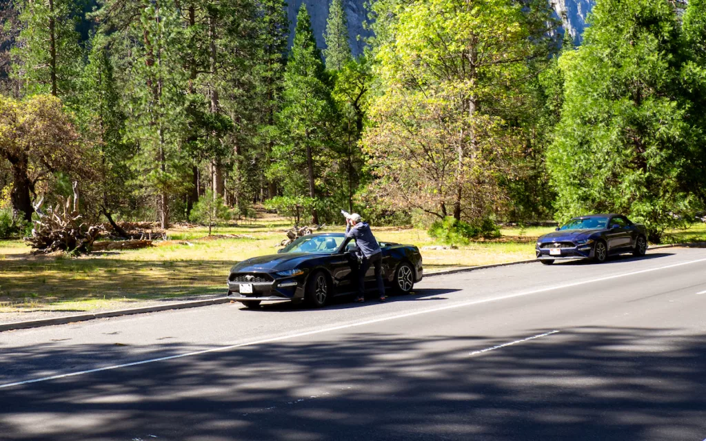 Rental Mustangs follow each other in Yosemite National Park.