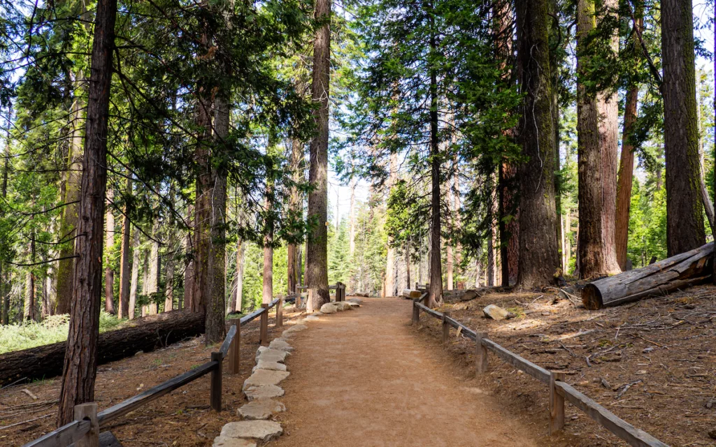 Nous arrivons à Mariposa Grove, c'est bien aménagé !