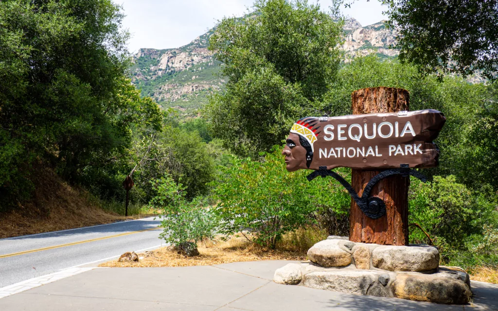 Here we are in Sequoia National Park!