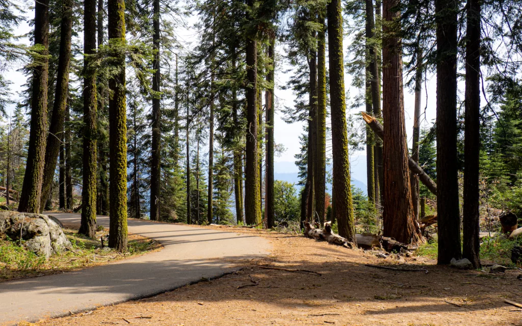 Il y a beaucoup à découvrir au parc national de Sequoia, même sur les chemins les plus simples.