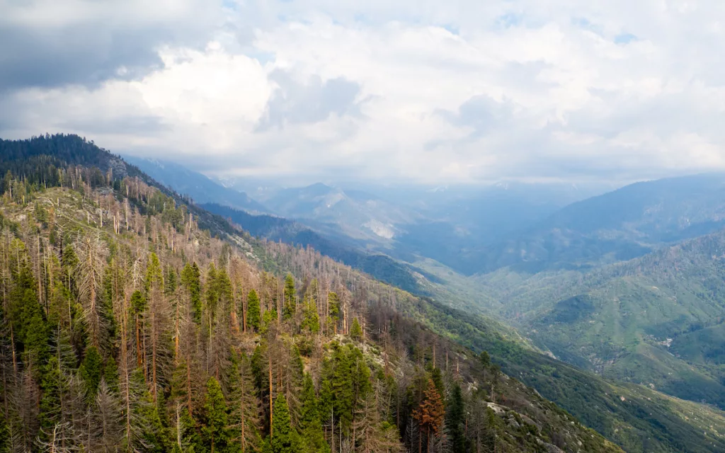 Vue sur le parc national de Sequoia durant notre ascension de Moro Rock.