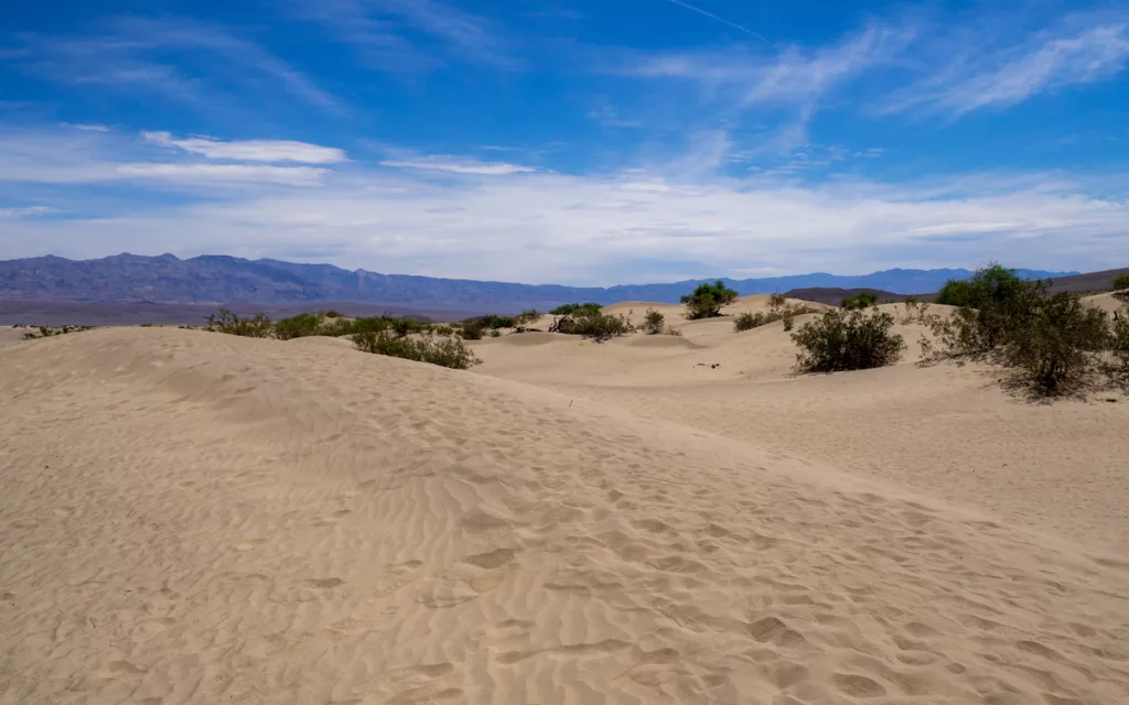 Many films, such as Star Wars, have been shot here, at the Mesquite Flat Sand Dunes.