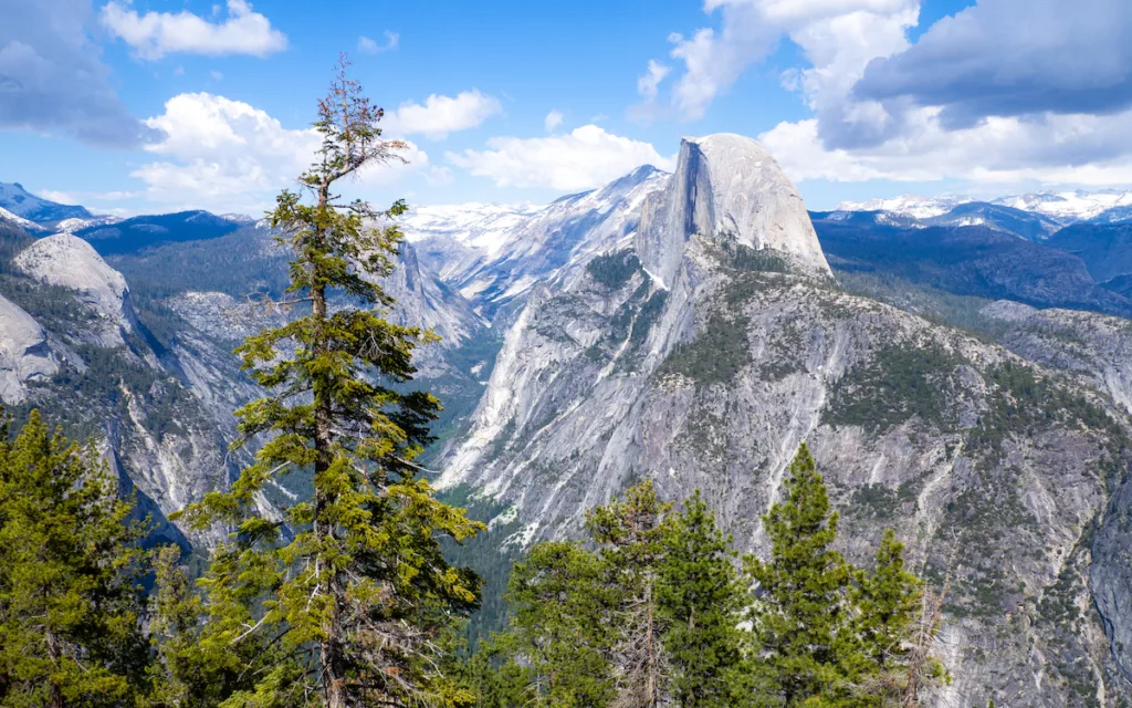 Une photo prise à Yosemite durant le voyage.