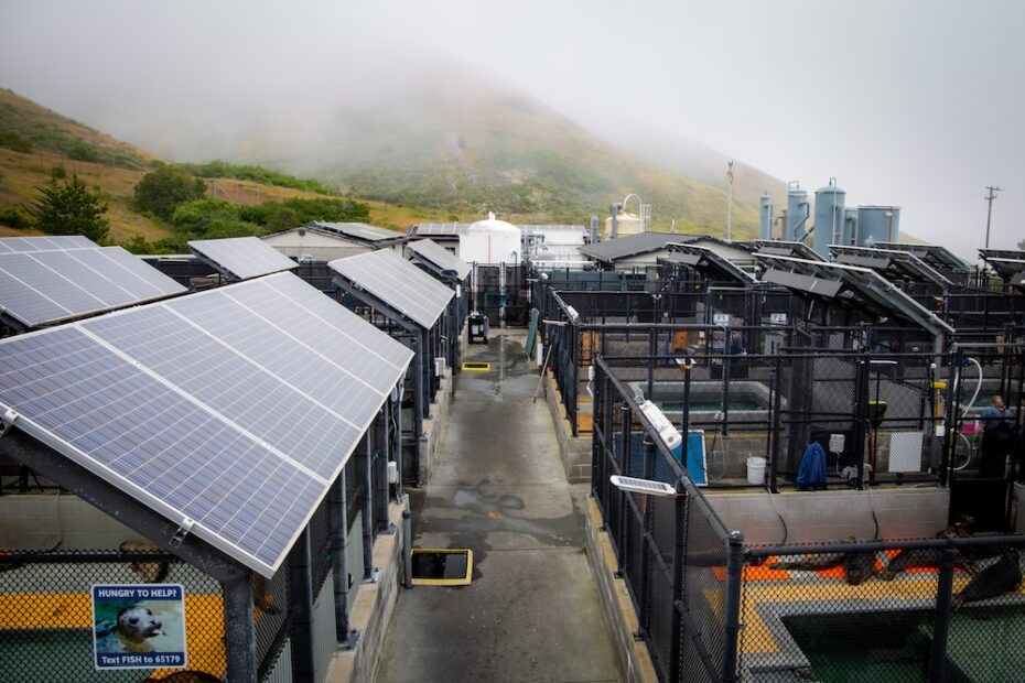 Le centre équipé de ses nouveaux panneaux solaires.