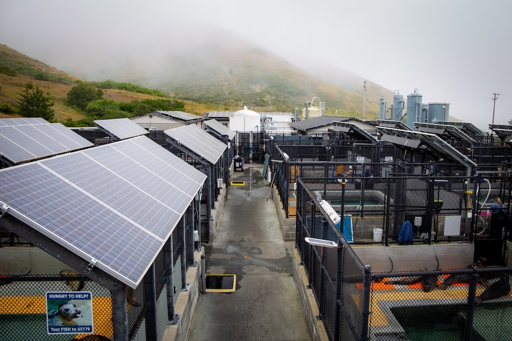 Le centre équipé de ses nouveaux panneaux solaires.