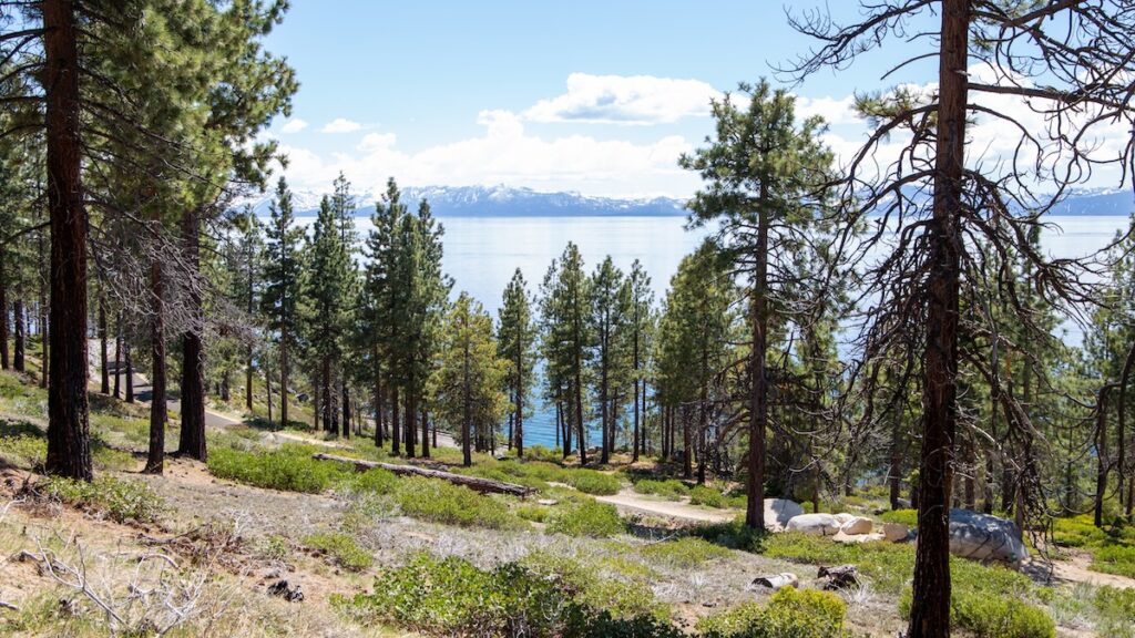 Le type de décors bordant le Lake Tahoe que l'on rencontre au cours de notre petite randonnée.