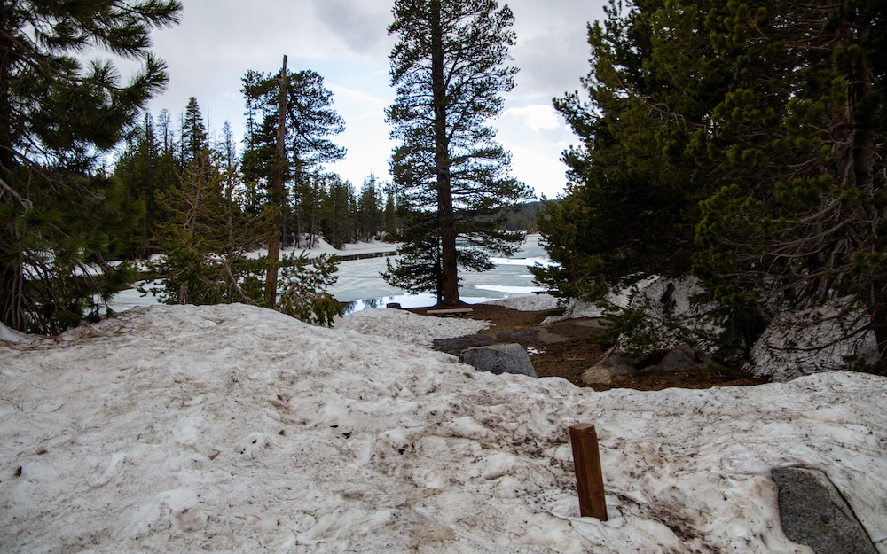 Un arrêt rapide sur la route entre le Lake Tahoe et Yosemite, traversée de montagnes enneigées...