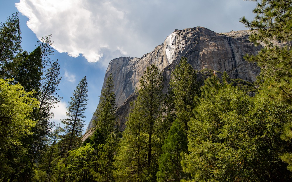 Le Half Dome se dresse majestueusement sous un ciel changeant, symbole emblématique de Yosemite et de nos aventures en famille.
