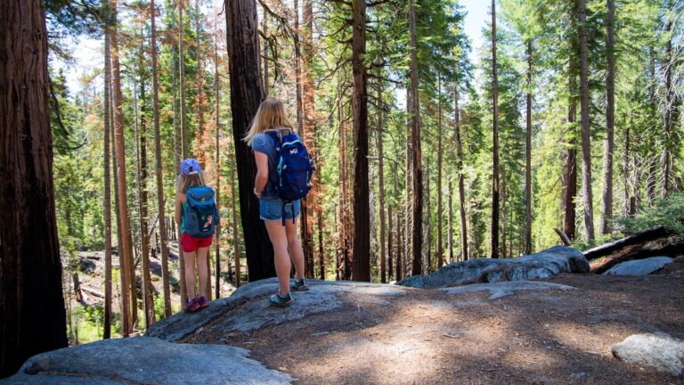Zoé et Sarah admirent l'immensité de Mariposa Grove.