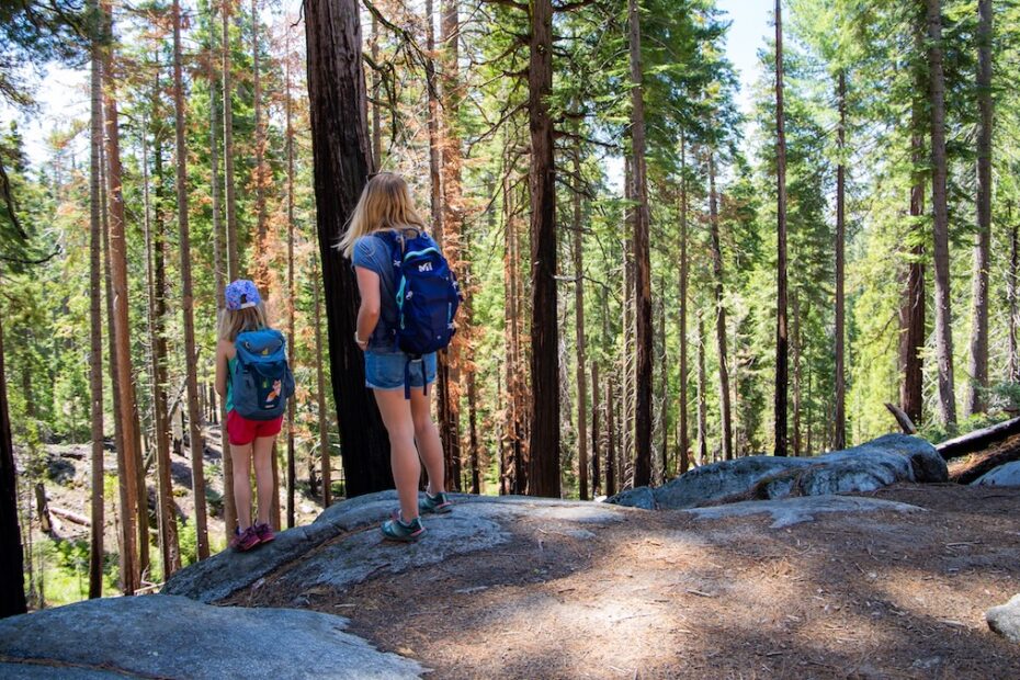 Zoé et Sarah admirent l'immensité de Mariposa Grove.