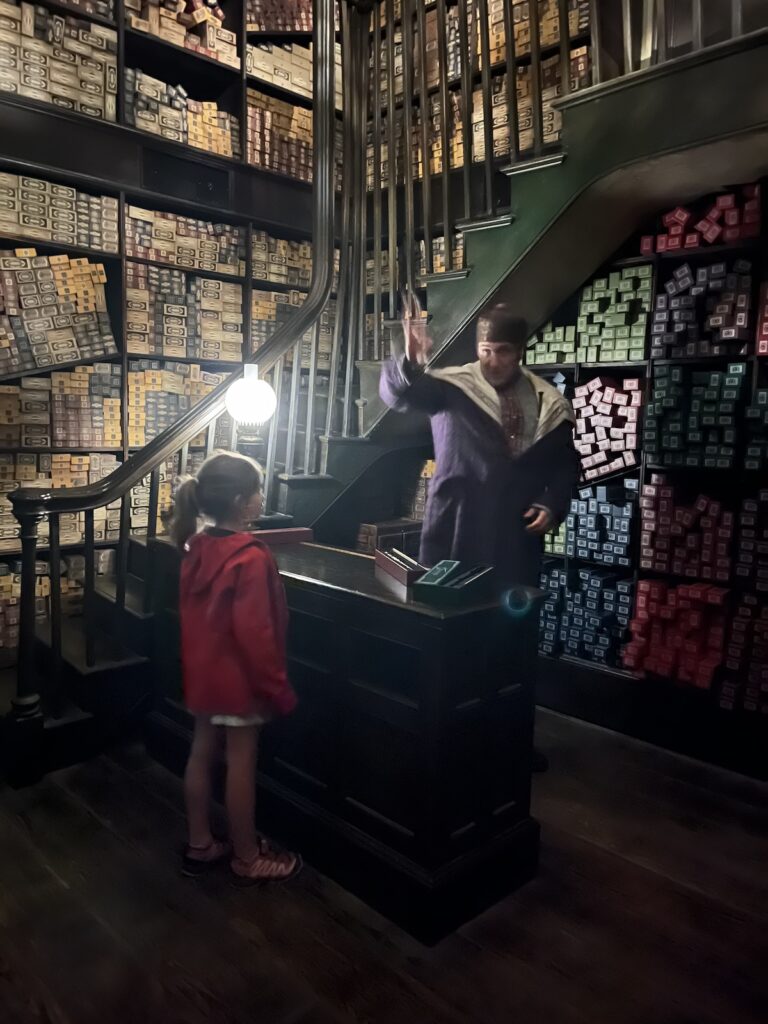 L’univers Harry Potter recréé dans ses moindres détails, un passage obligé pour les familles et les fans.