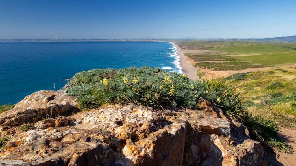 Point Reyes, un endroit magnifique au nord de San Francisco.