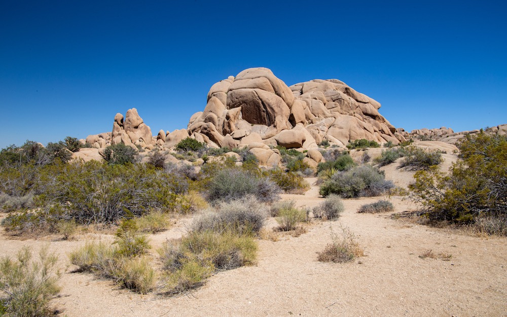 Les impressionnants Jumbo Rocks, résultat de millions d’années d’érosion.