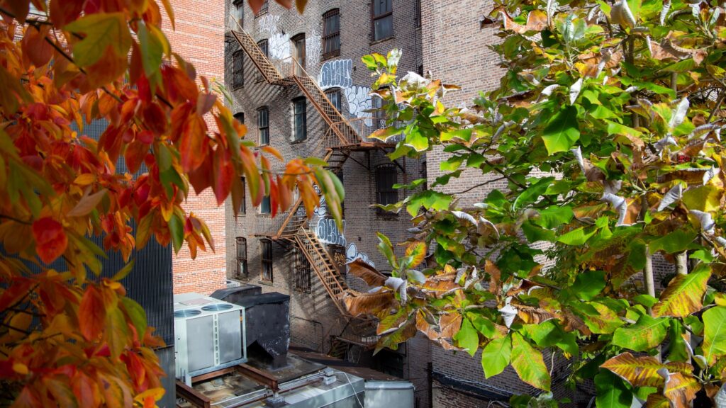Prise de vue depuis la High Line de New York