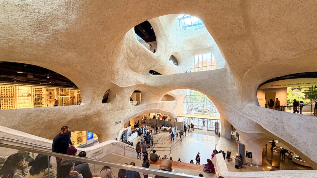 L'architecture particulière à l'intérieur du musée américain d'histoire naturelle.