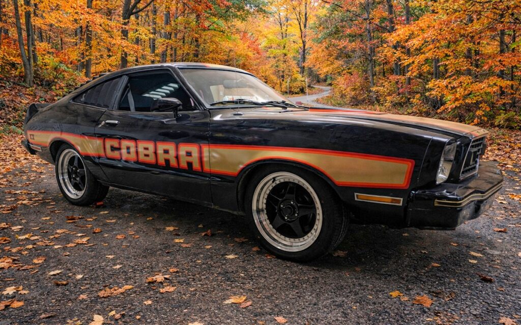 Mustang II Cobra II noire et or de Braxton photographiée en forêt pendant l’automne