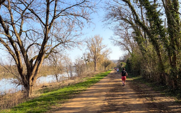 Le Semi du Bord de Saône passe sur mon parcours habituel, je connais cette portion sur le bout de doigts.