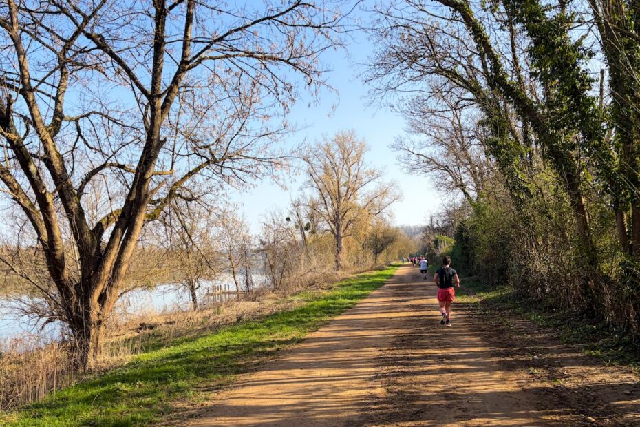 Le Semi du Bord de Saône passe sur mon parcours habituel, je connais cette portion sur le bout de doigts.