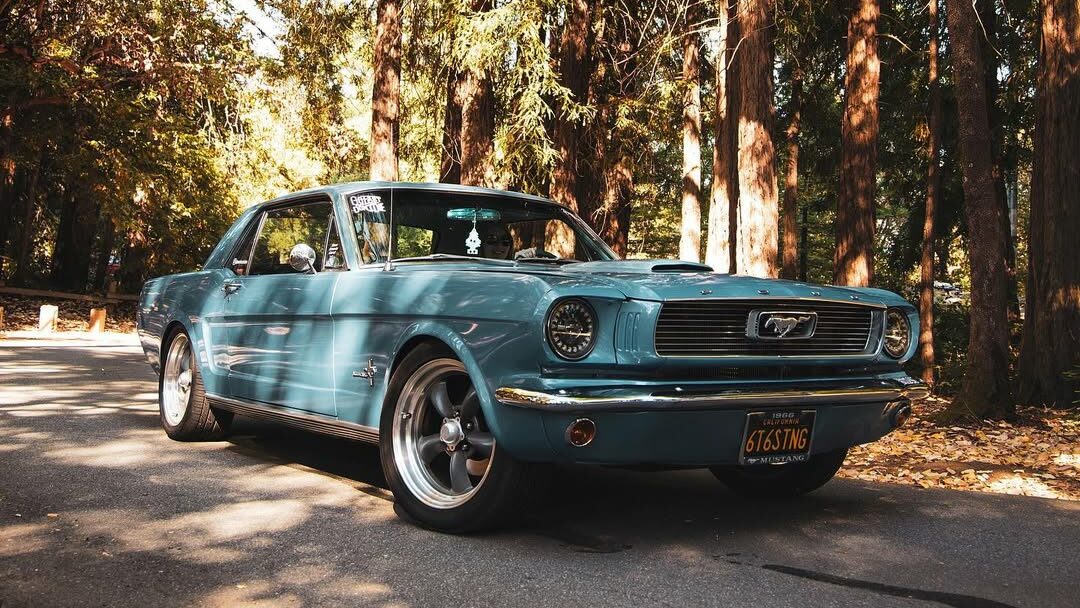Phares "Angel Eyes" éteints, au cœur de la forêt californienne. Une touche de modernité subtile sur une Mustang classique de 1966.
