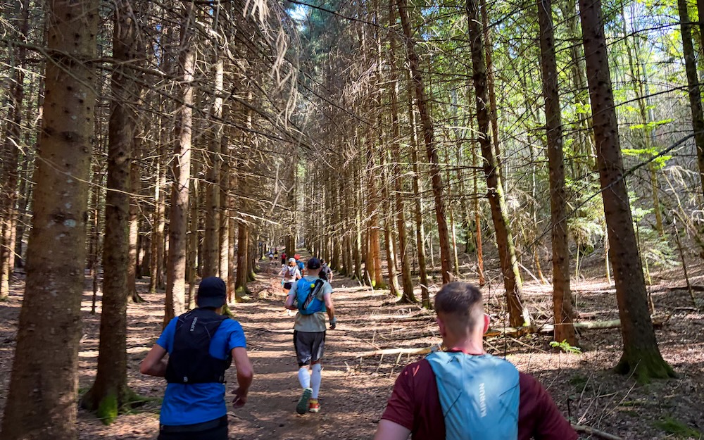 Dans les bois, on comprend facilement ce qui plait tant aux trailers !