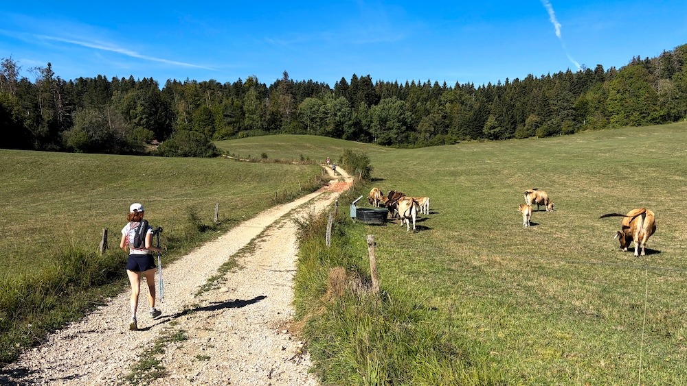 Les paysages varient quelque peu et on a la chance d'avoir un peu de plat... de temps en temps !