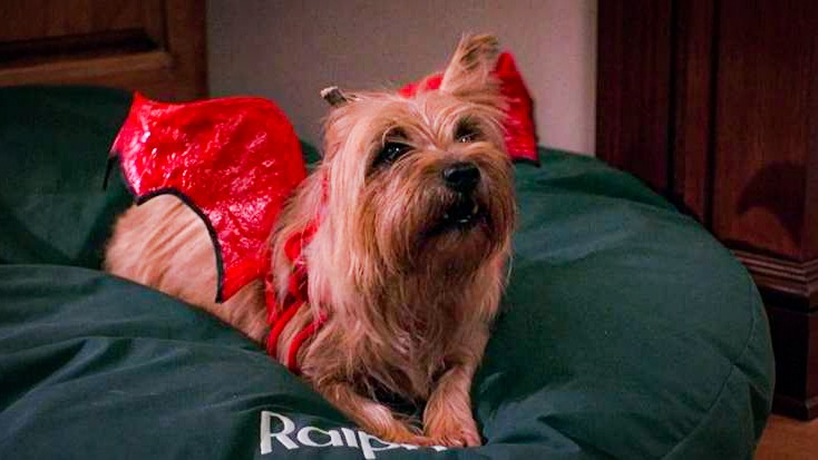 Même les animaux participent à Halloween : ce chien affublé d’ailes de diable résume bien l’esprit ludique et familial de la fête dans Hocus Pocus. © 1993 Walt Disney Pictures.
